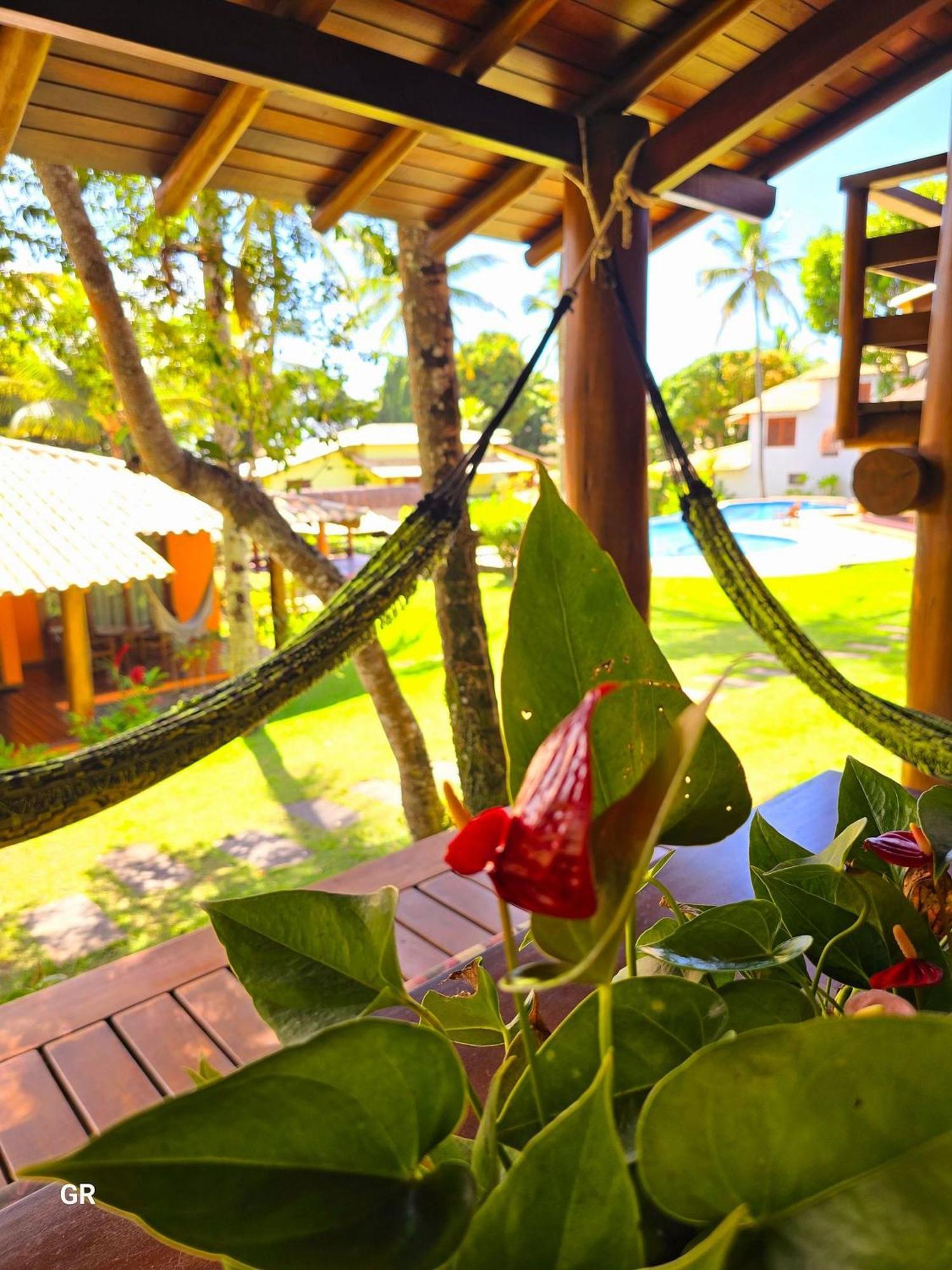 Top Houses Village Tropical Centro De Arraial بورتو سيغورو المظهر الخارجي الصورة